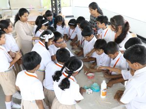 TAS Social Science Department